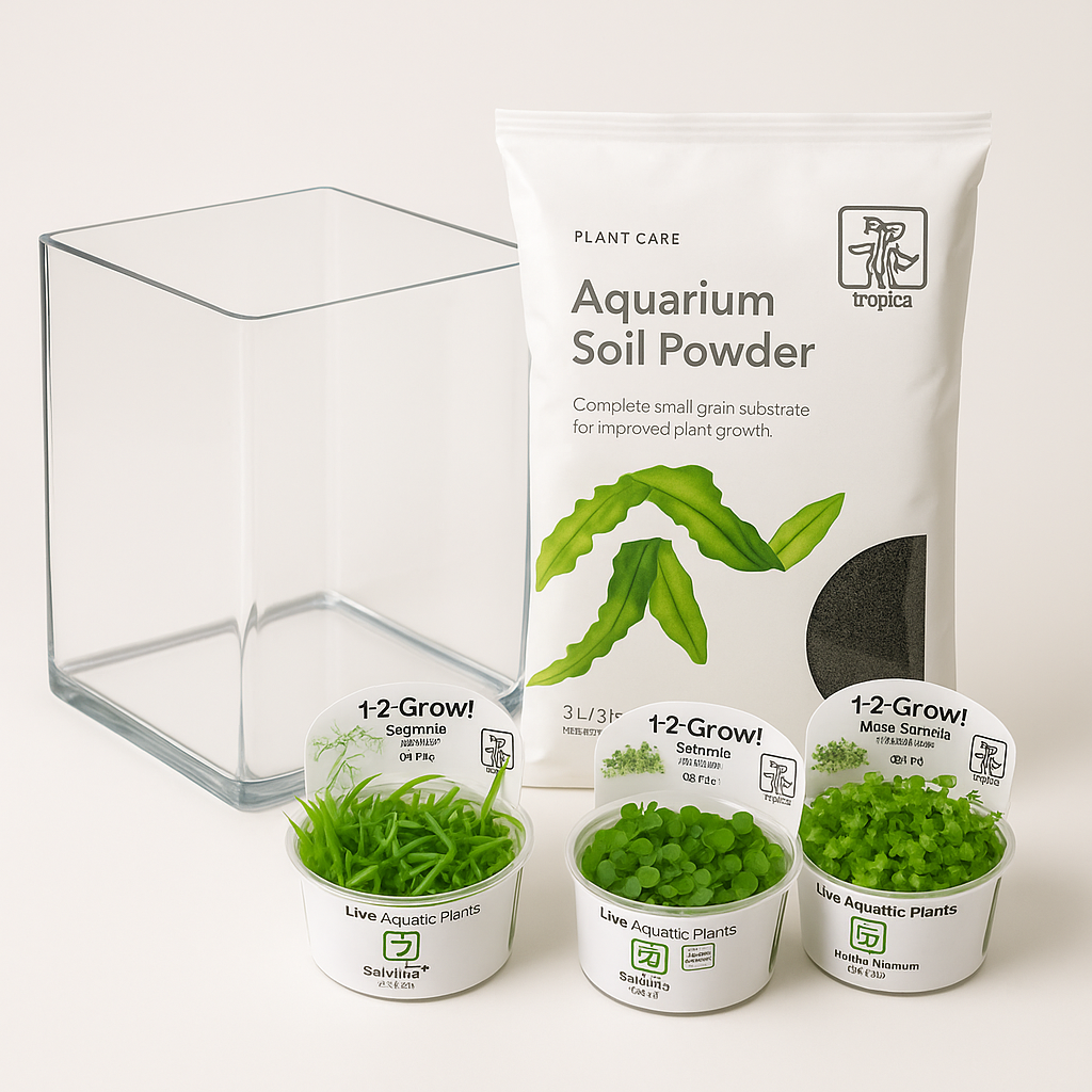 The Planted Terrarium | 1 Gallon Nano Terrarium for Shrimp & Snails
