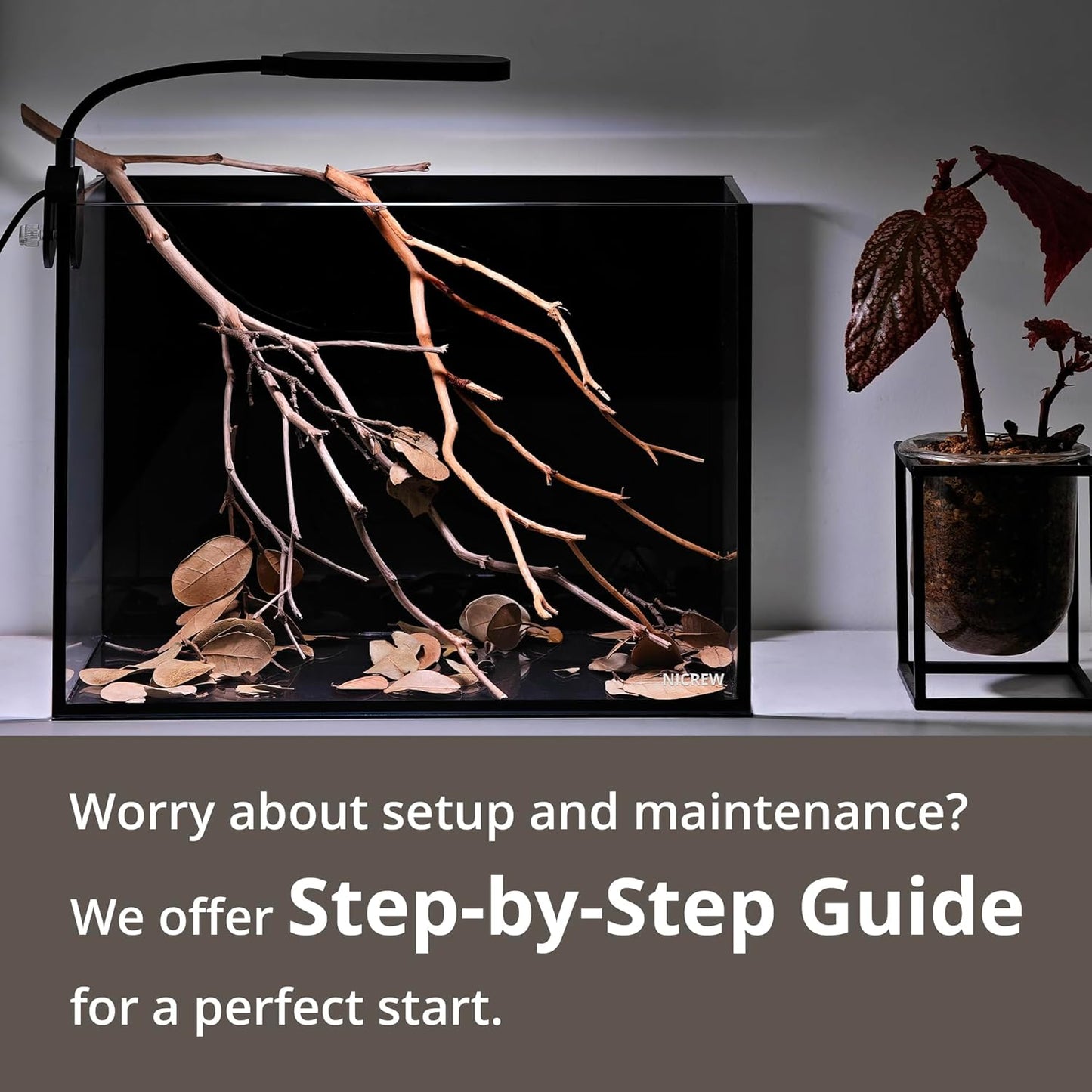 NICREW Nano Nature Aquarium Kit, 2.5 Gallon, Ultra-Clear Rimless Desktop Fish Tank with Filter, Light and Starter Guide