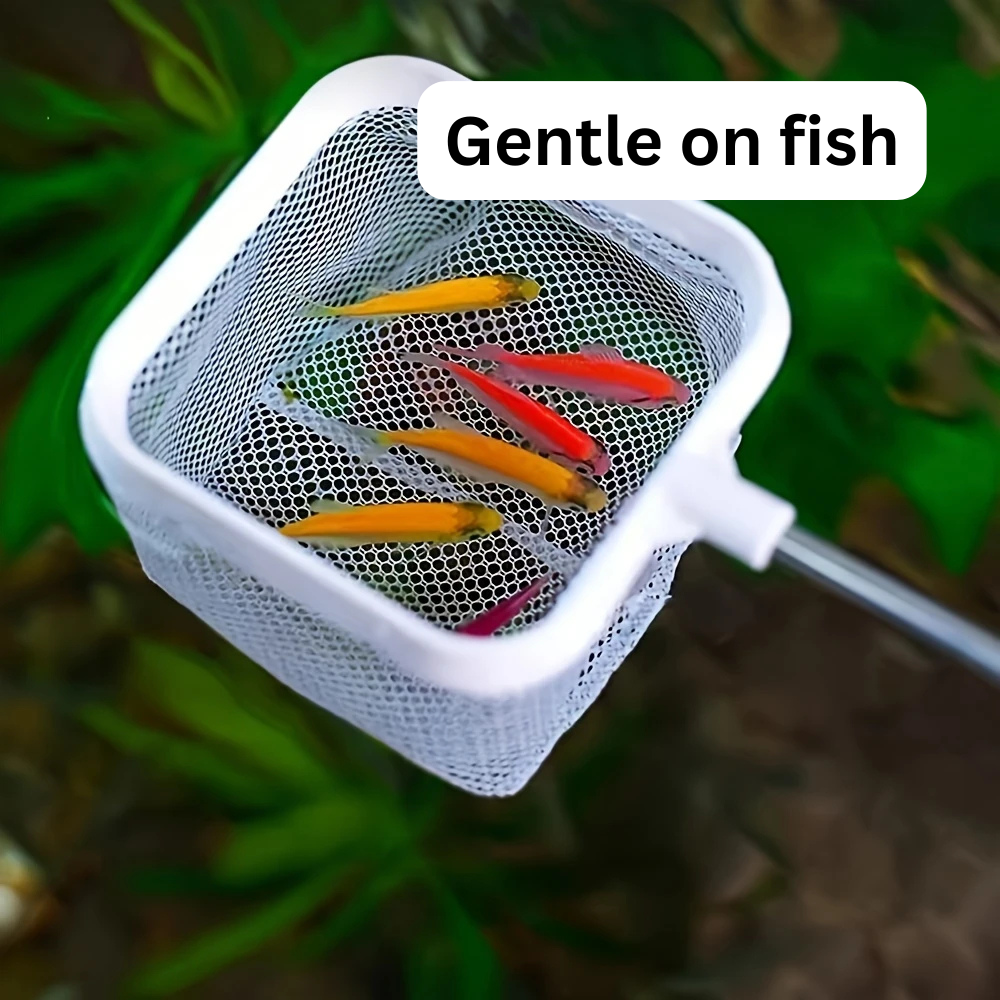 ShrimpSafe™ Net