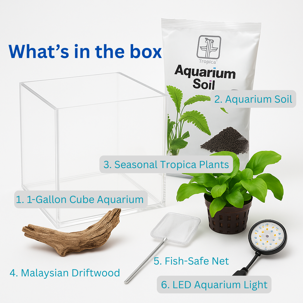 The Tiny Cube Complete Kit