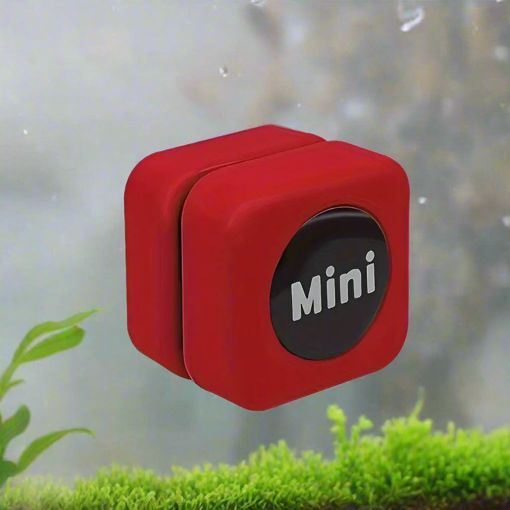 Mini Magnetic Algae Brush
