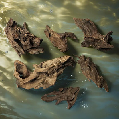Malaysian Driftwood