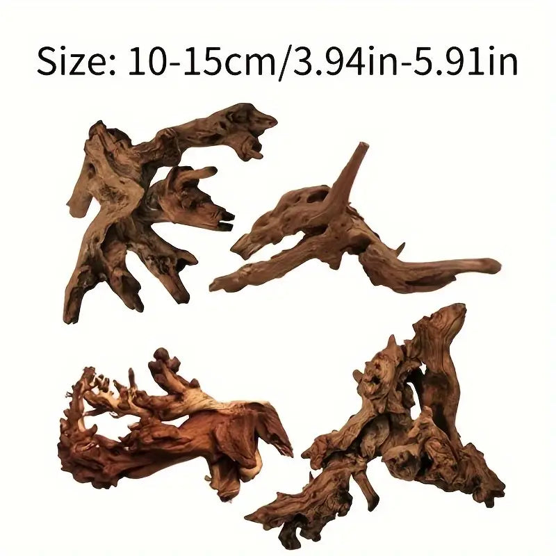 Malaysian Driftwood