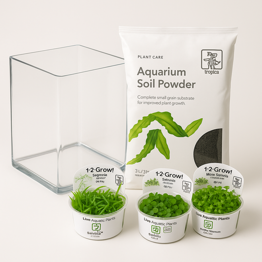 The Planted Terrarium | 1 Gallon Nano Terrarium for Shrimp & Snails