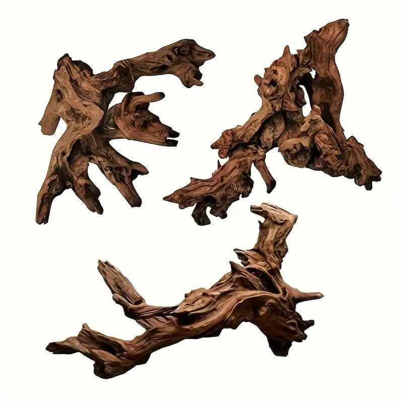 Malaysian Driftwood